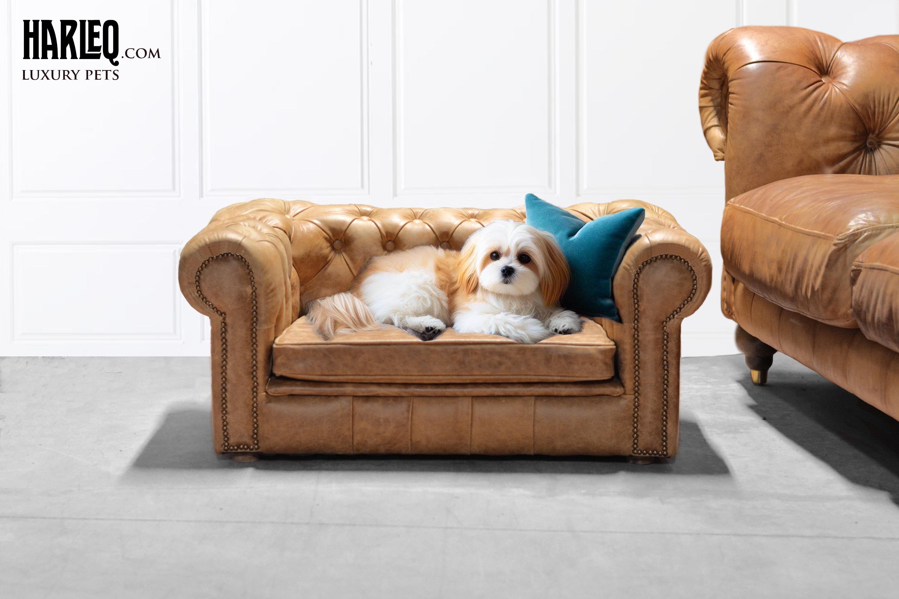 dog bed sofa couch pet collection leather harleq