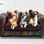dog-sofas-settee-chesterfield-couch-dogs-luxury-pets-leather-logo