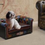 luxury-dog-sofa-chesterfield-leather-patchwork-logo